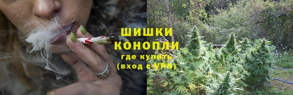 стаф Заволжье